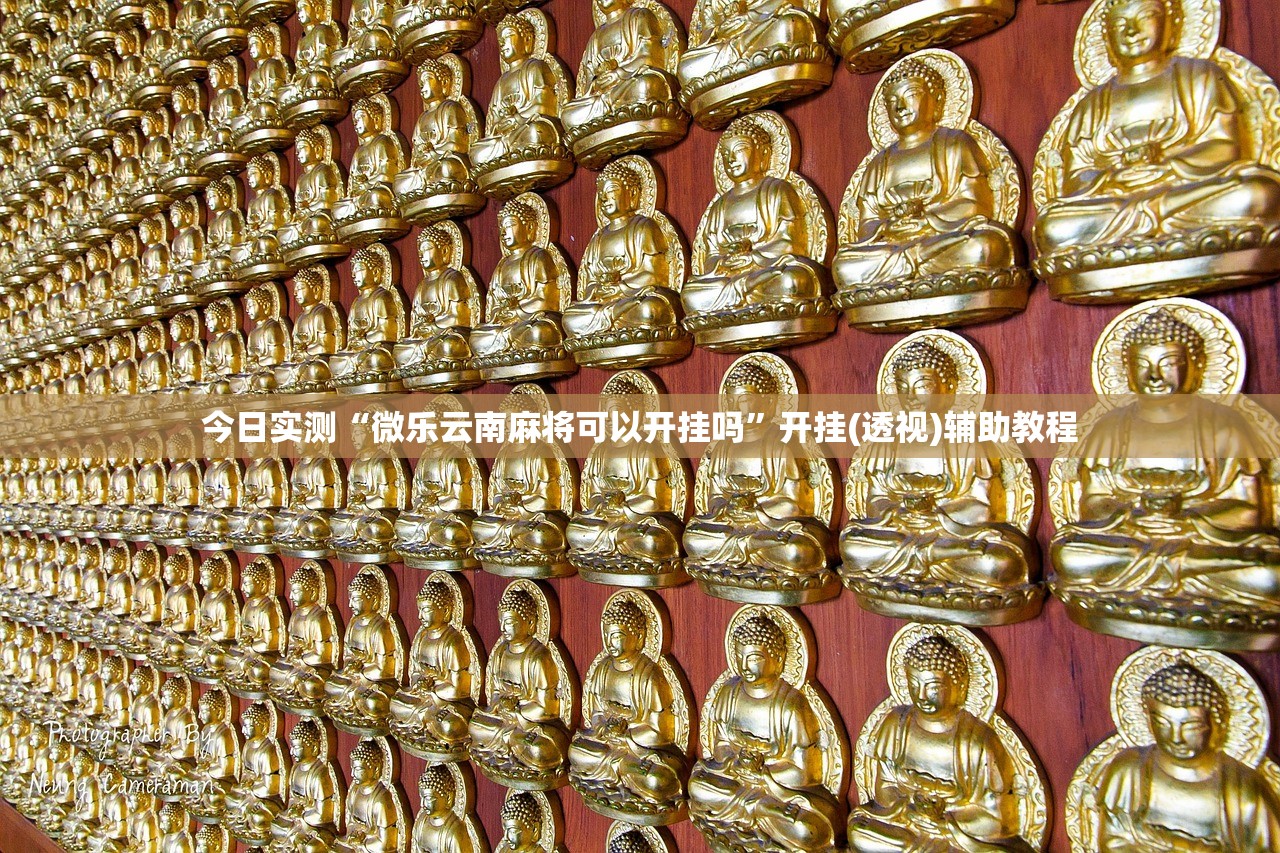 今日实测“微乐云南麻将可以开挂吗”开挂(透视)辅助教程