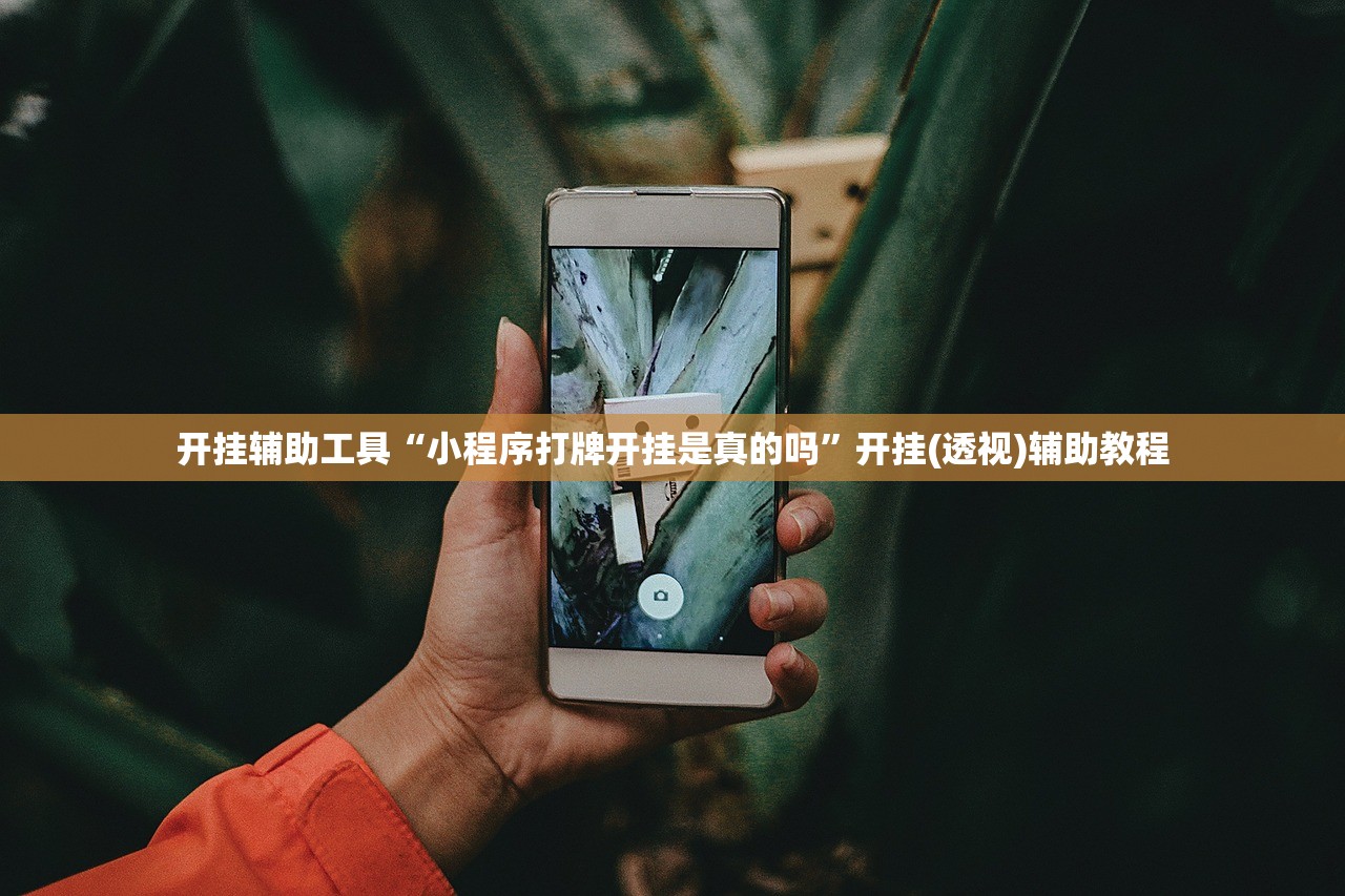 开挂辅助工具“小程序打牌开挂是真的吗”开挂(透视)辅助教程