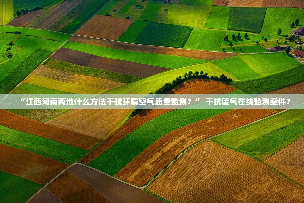 “江西河南两地什么方法干扰环境空气质量监测？” 干扰废气在线监测案件？
