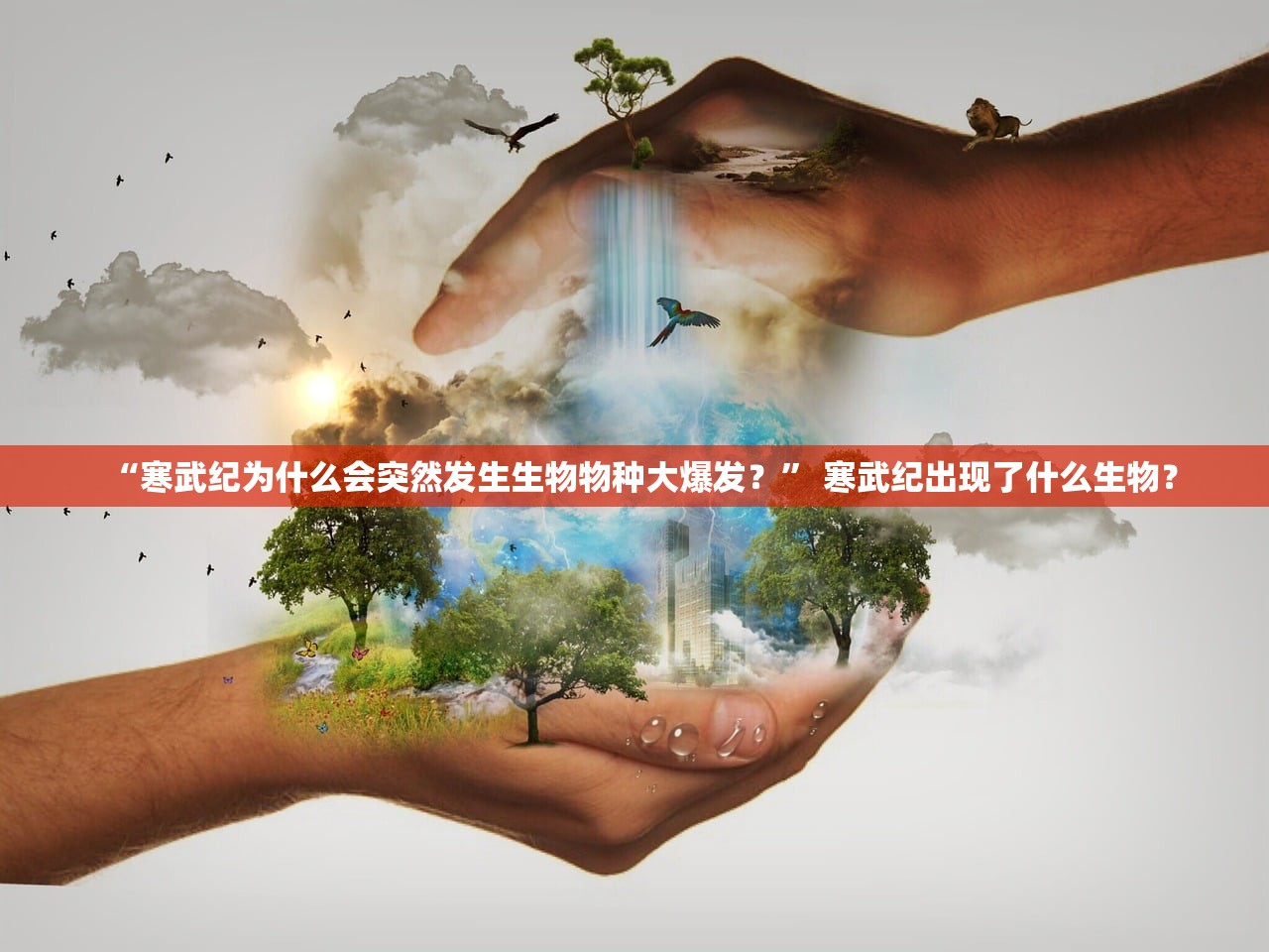 “寒武纪为什么会突然发生生物物种大爆发？	” 寒武纪出现了什么生物？