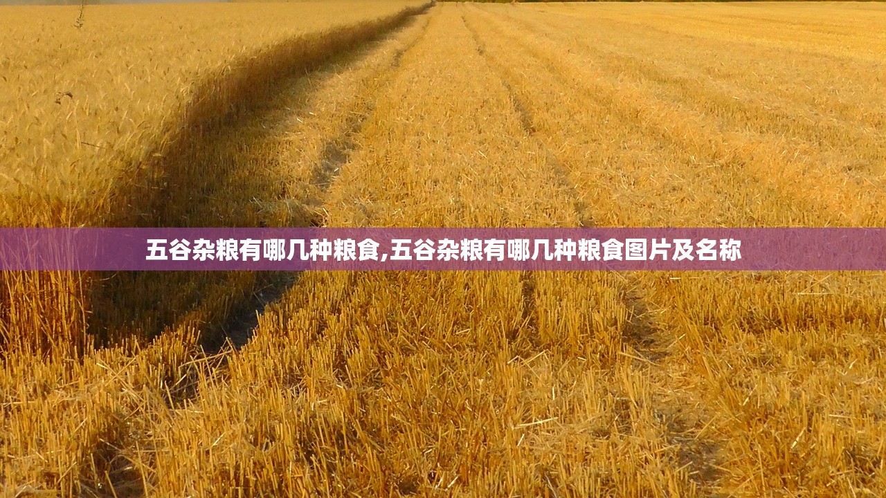 五谷杂粮有哪几种粮食,五谷杂粮有哪几种粮食图片及名称