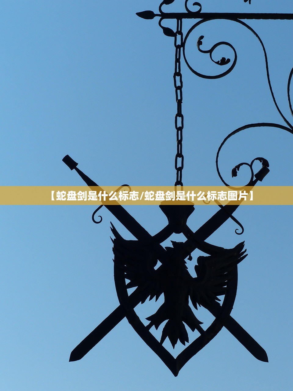 【蛇盘剑是什么标志/蛇盘剑是什么标志图片】