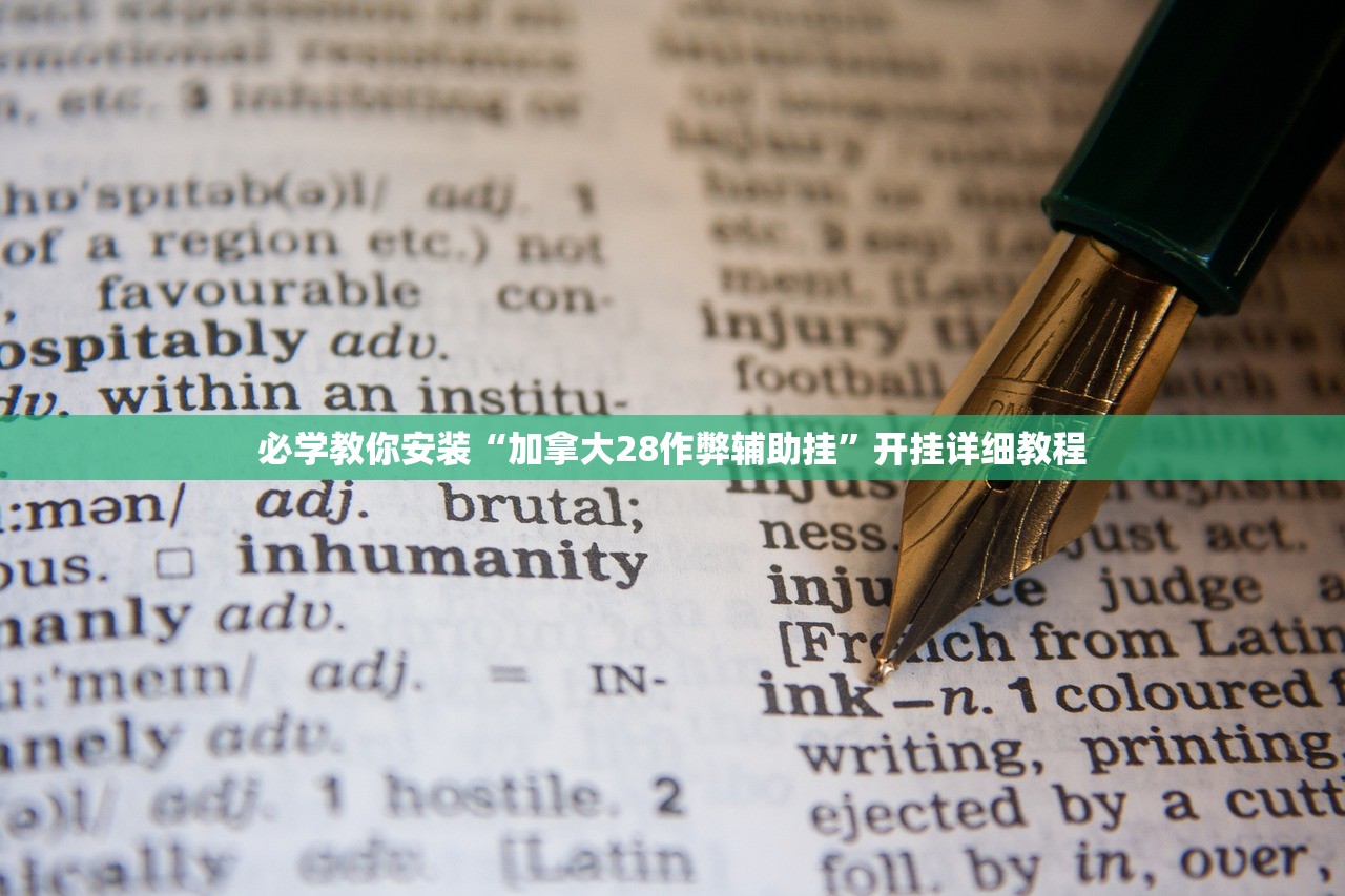 必学教你安装“加拿大28作弊辅助挂”开挂详细教程