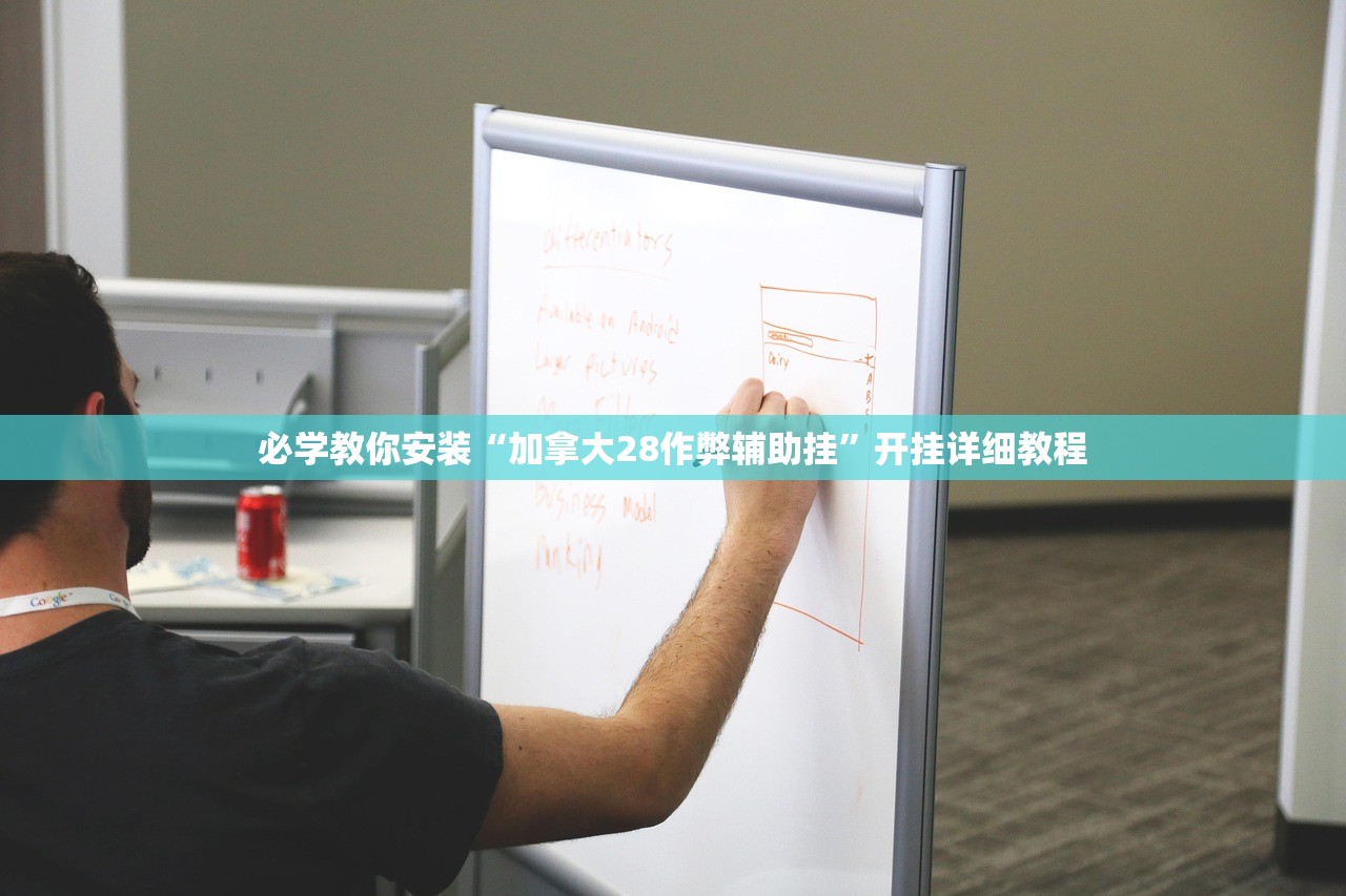 必学教你安装“加拿大28作弊辅助挂”开挂详细教程