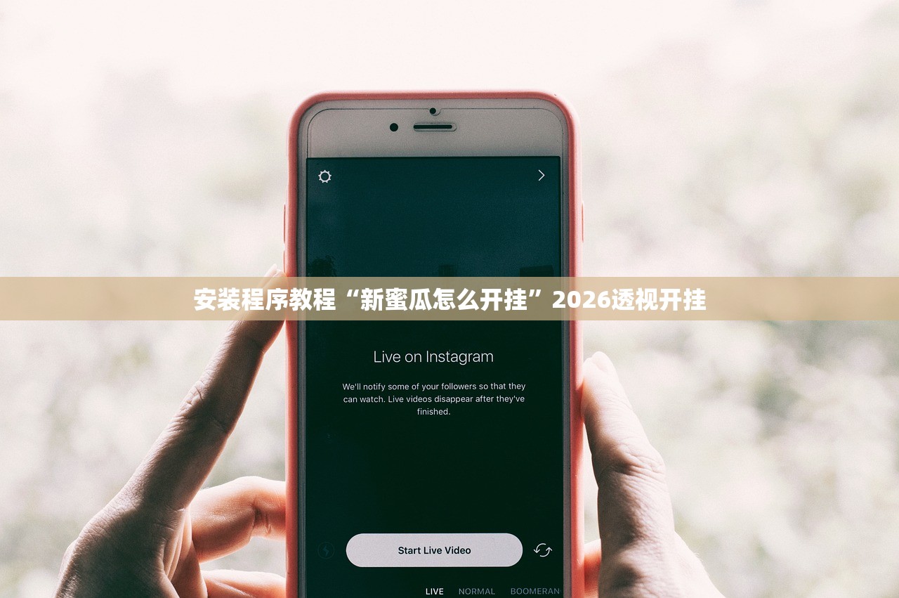 安装程序教程“新蜜瓜怎么开挂	”2026透视开挂