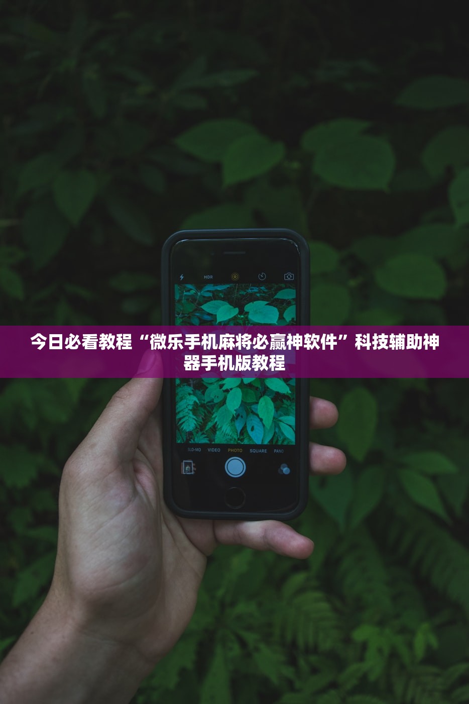 今日必看教程“微乐手机麻将必赢神软件”科技辅助神器手机版教程