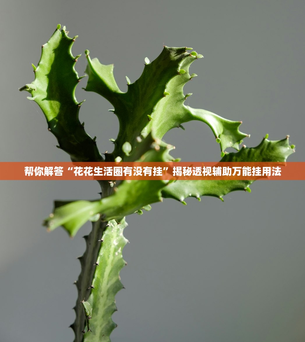 帮你解答“花花生活圈有没有挂”揭秘透视辅助万能挂用法