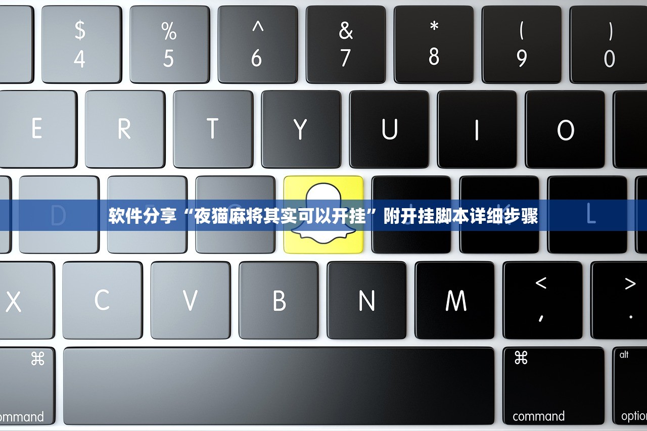 软件分享“夜猫麻将其实可以开挂”附开挂脚本详细步骤