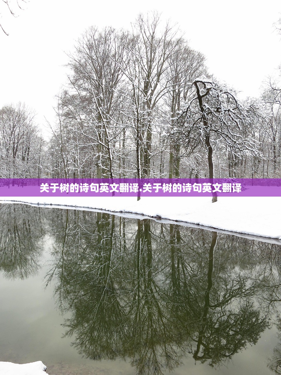 关于树的诗句英文翻译.关于树的诗句英文翻译 关于树的诗句英文翻译.关于树的诗句英文翻译