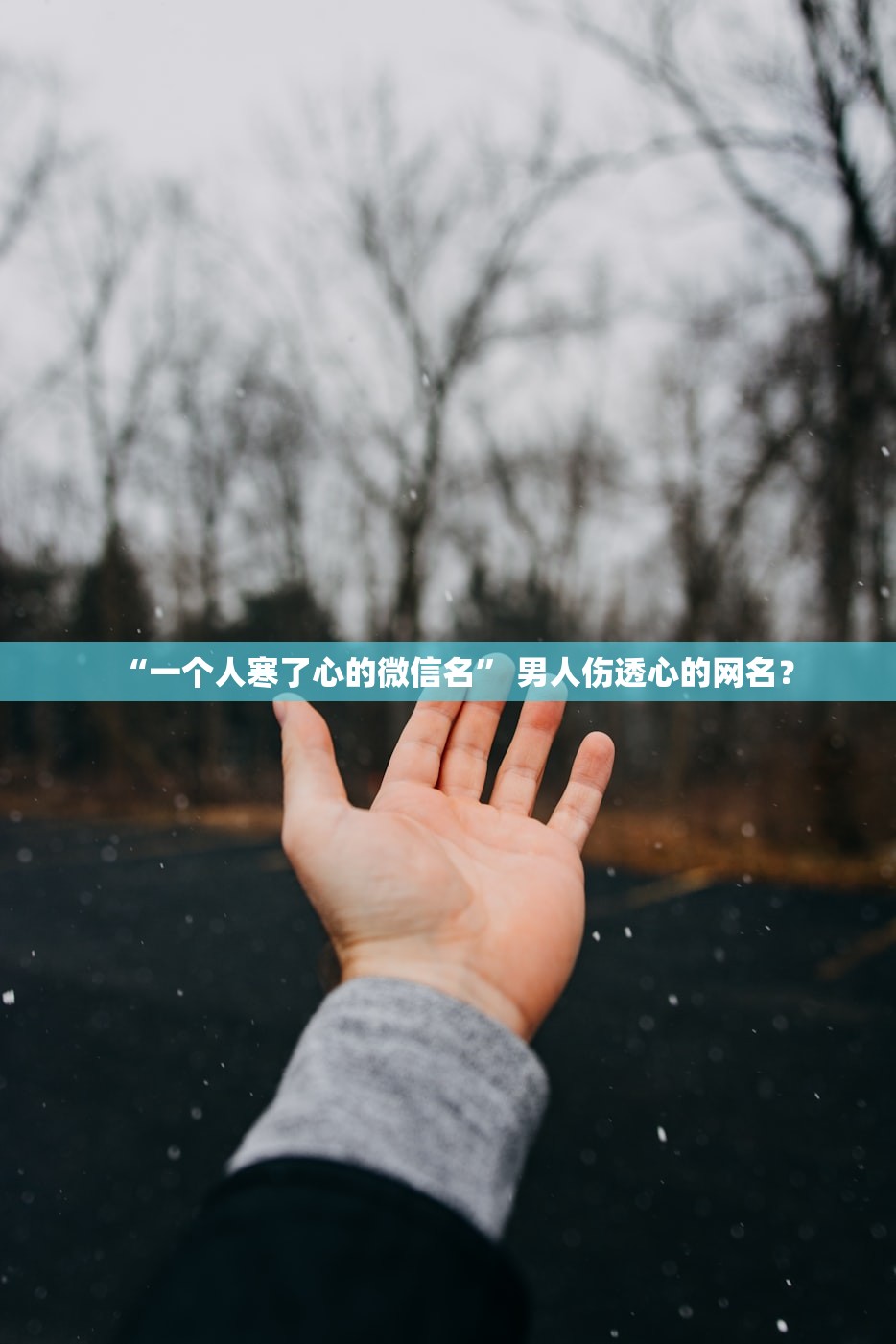 “一个人寒了心的微信名” 男人伤透心的网名？