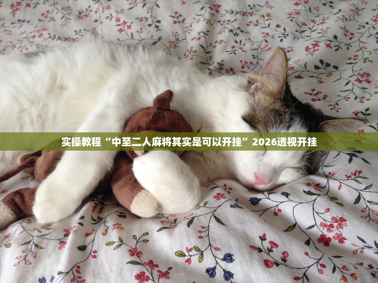 实操教程“中至二人麻将其实是可以开挂”2026透视开挂