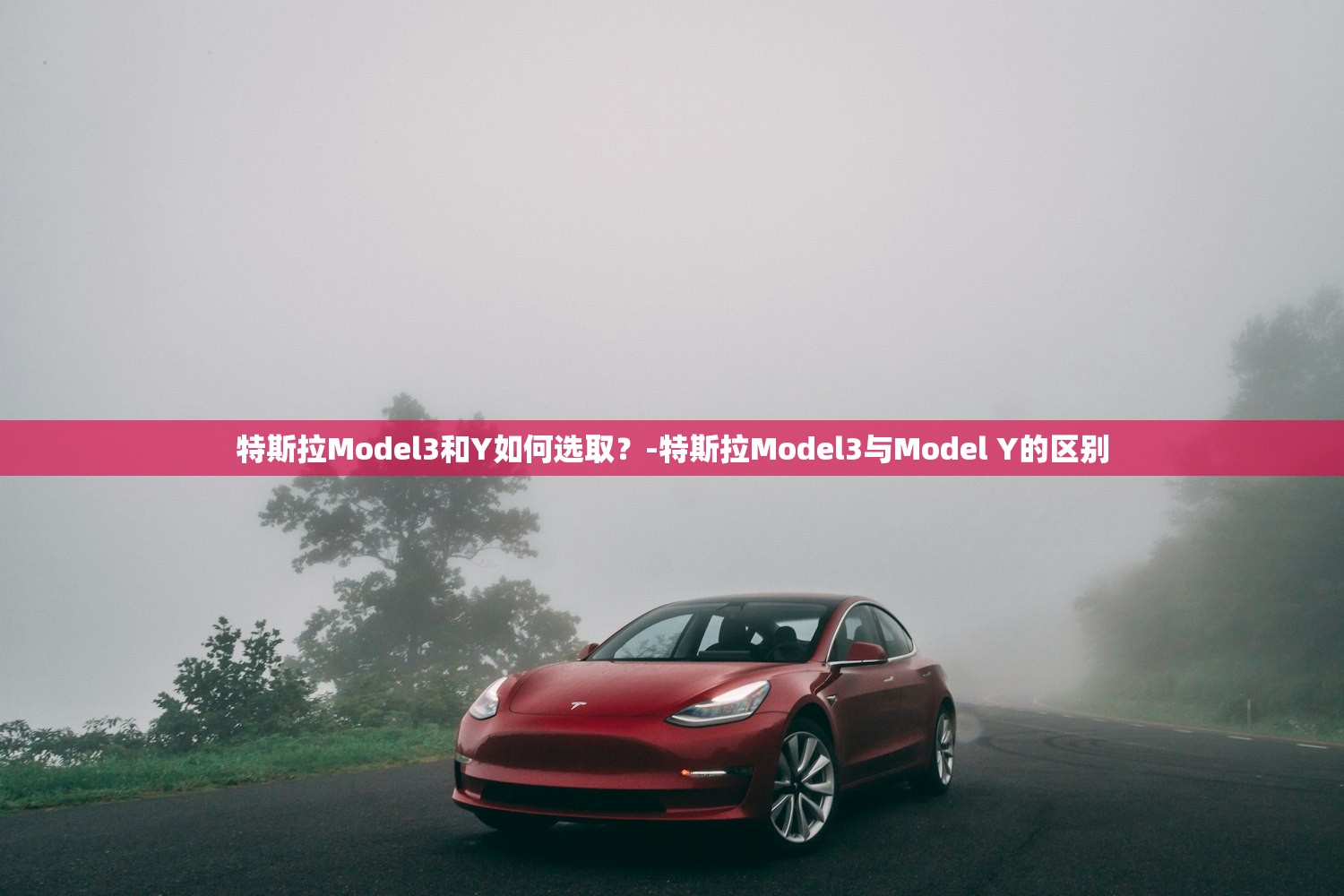 特斯拉Model3和Y如何选取？-特斯拉Model3与Model Y的区别