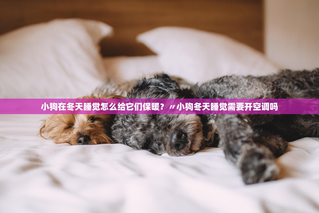 小狗在冬天睡觉怎么给它们保暖？〃小狗冬天睡觉需要开空调吗