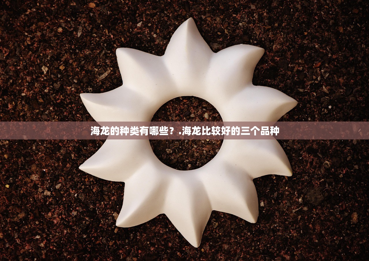 海龙的种类有哪些?.海龙比较好的三个品种 海龙的种类有哪些?.海龙比较好的三个品种
