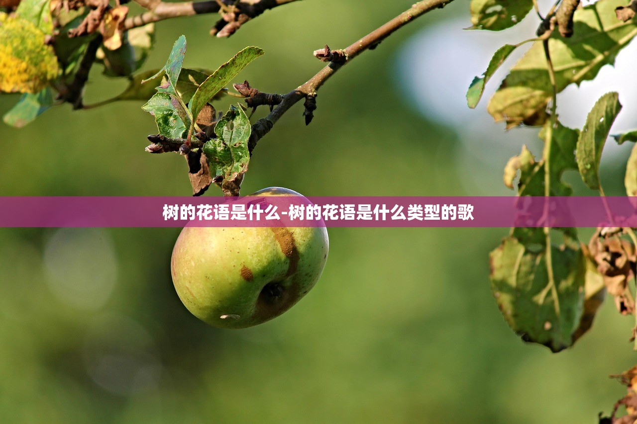 树的花语是什么-树的花语是什么类型的歌