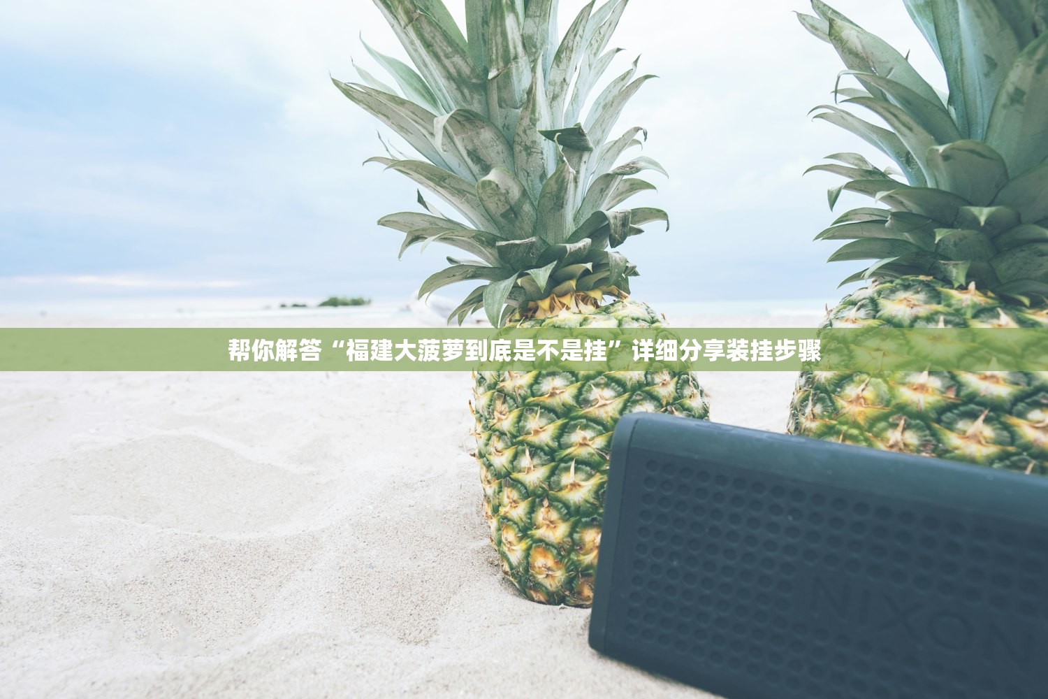 帮你解答“福建大菠萝到底是不是挂”详细分享装挂步骤