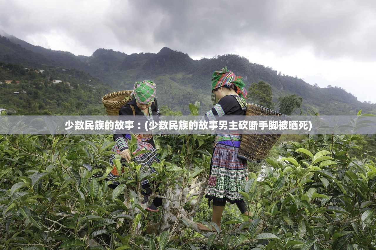 少数民族的故事︰(少数民族的故事男主砍断手脚被晒死) 少数民族的故事︰(少数民族的故事男主砍断手脚被晒死)
