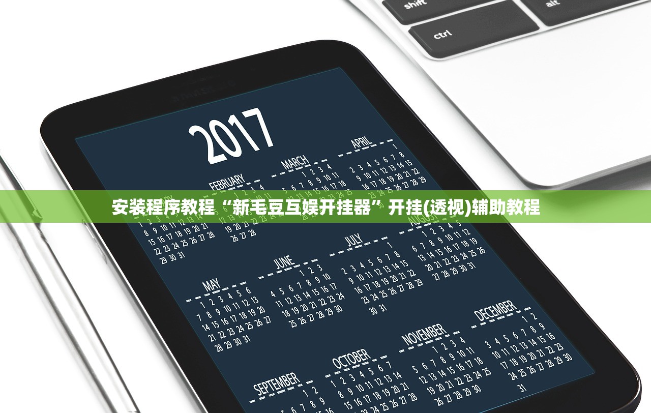 安装程序教程“新毛豆互娱开挂器”开挂(透视)辅助教程