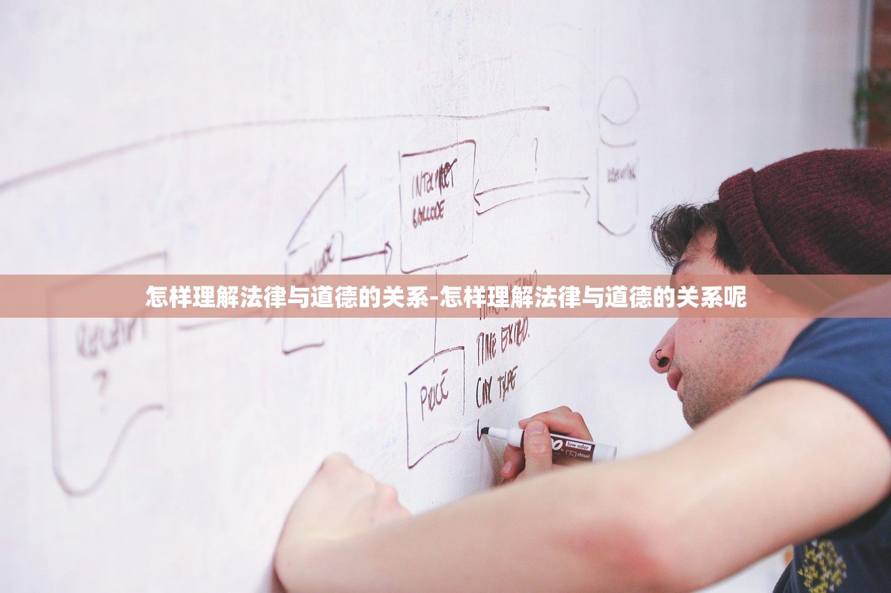 怎样理解法律与道德的关系-怎样理解法律与道德的关系呢