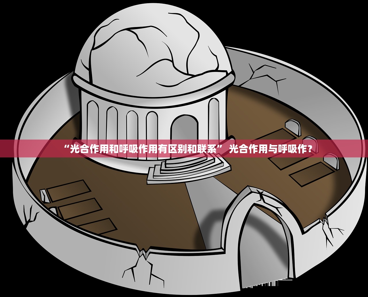“光合作用和呼吸作用有区别和联系” 光合作用与呼吸作？