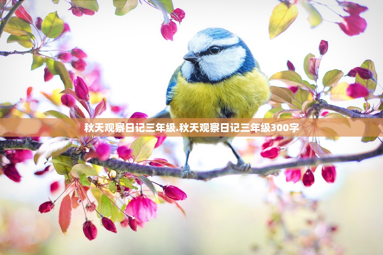 秋天观察日记三年级.秋天观察日记三年级300字 秋天观察日记三年级.秋天观察日记三年级300字