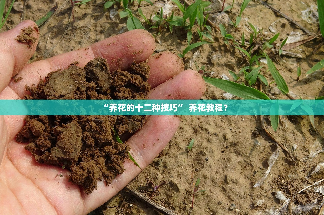 “养花的十二种技巧” 养花教程？