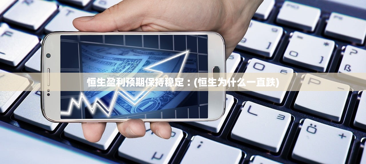 恒生盈利预期保持稳定︰(恒生为什么一直跌)