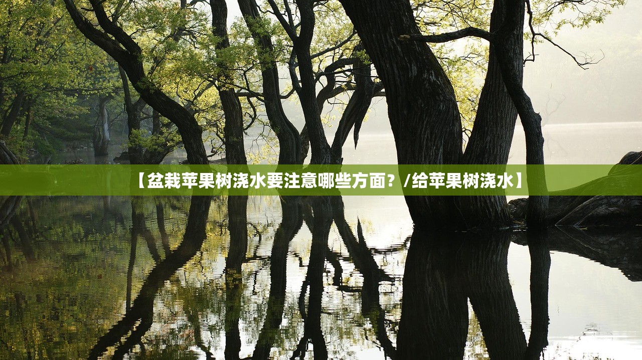 【盆栽苹果树浇水要注意哪些方面?/给苹果树浇水】 【盆栽苹果树浇水要注意哪些方面?/给苹果树浇水】