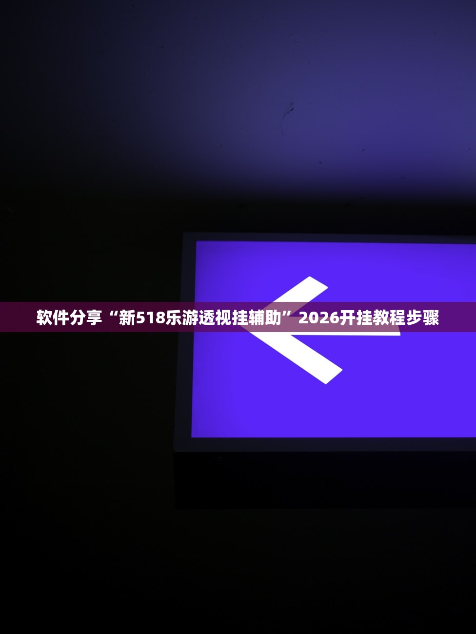 软件分享“新518乐游透视挂辅助”2026开挂教程步骤
