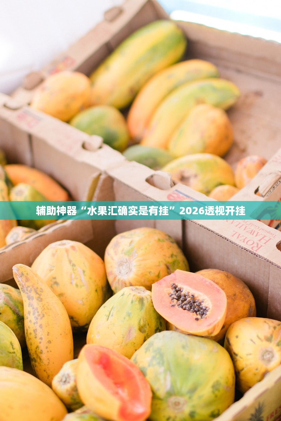 辅助神器“水果汇确实是有挂”2026透视开挂