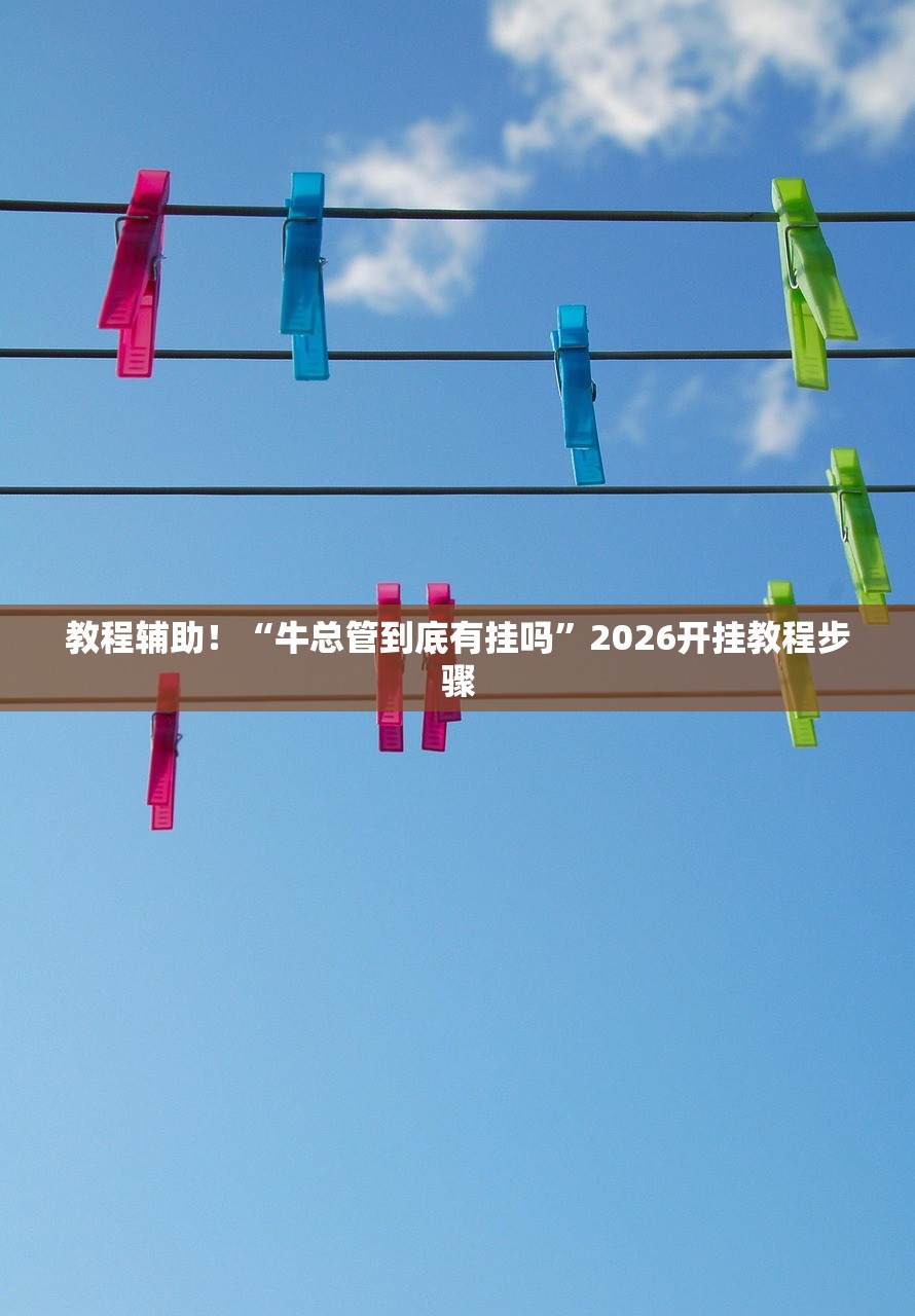 教程辅助！“牛总管到底有挂吗”2026开挂教程步骤