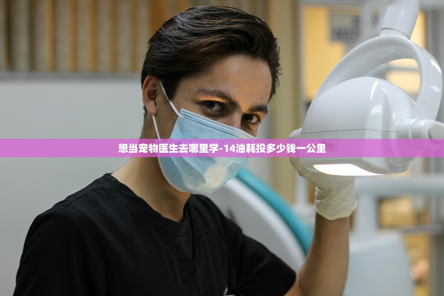 想当宠物医生去哪里学-14油耗投多少钱一公里 想当宠物医生去哪里学-14油耗投多少钱一公里