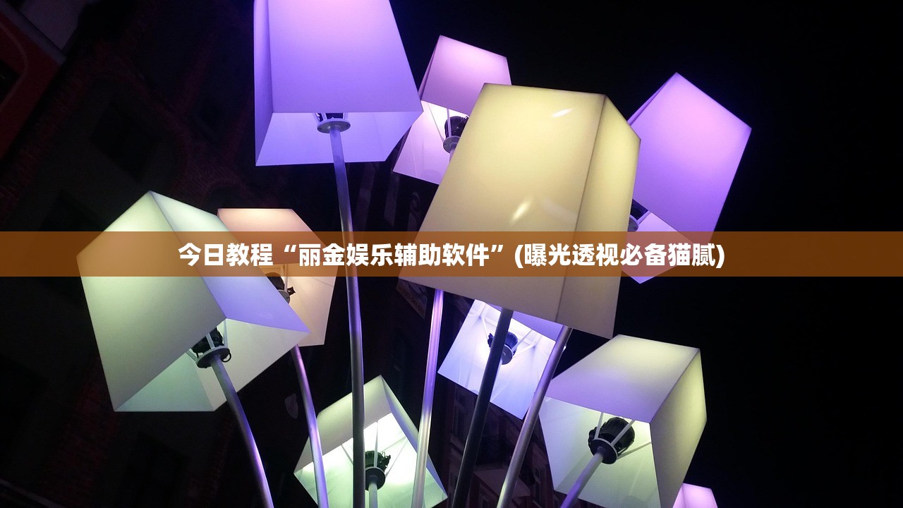 今日教程“丽金娱乐辅助软件”(曝光透视必备猫腻)