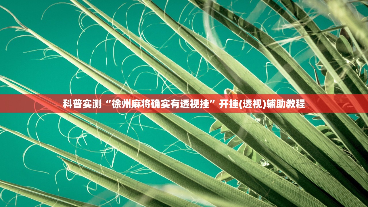 科普实测“徐州麻将确实有透视挂”开挂(透视)辅助教程