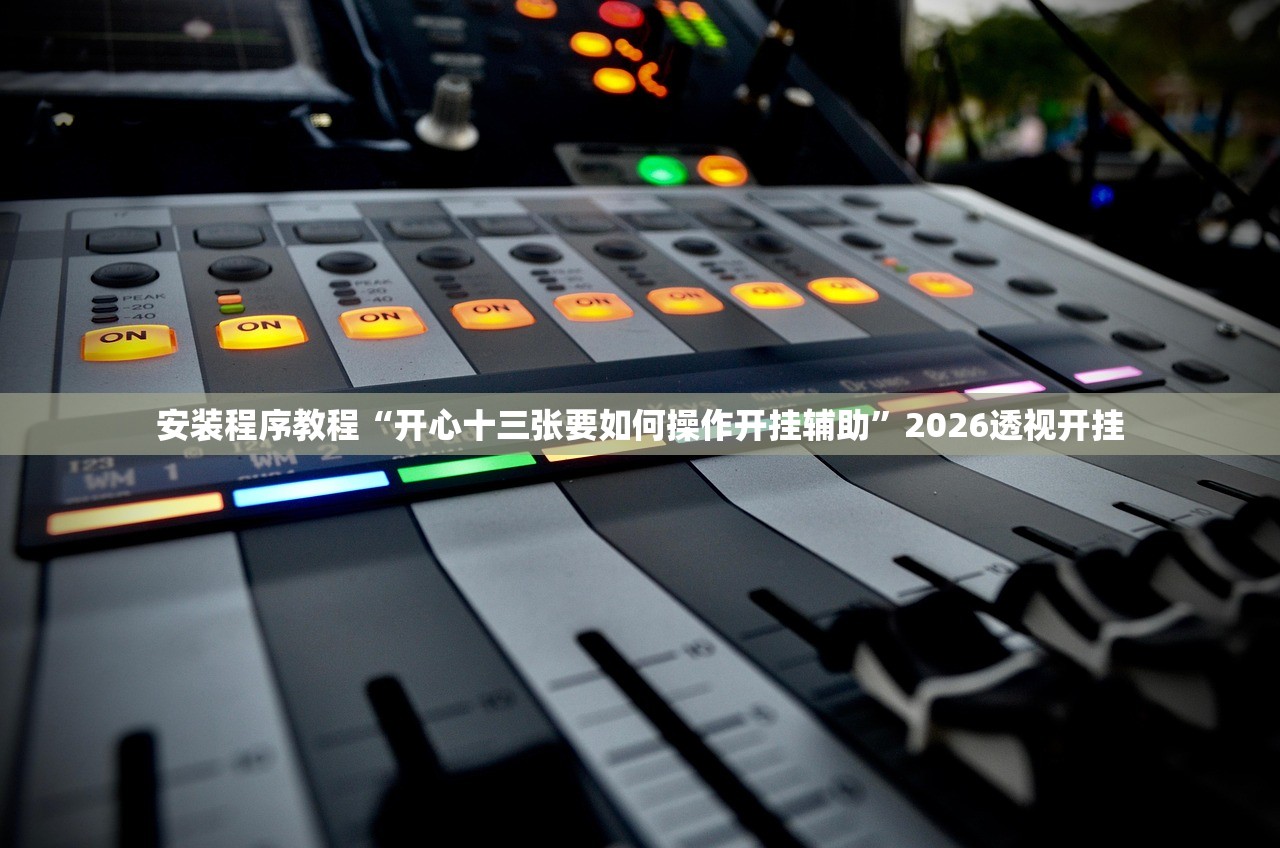 安装程序教程“开心十三张要如何操作开挂辅助”2026透视开挂