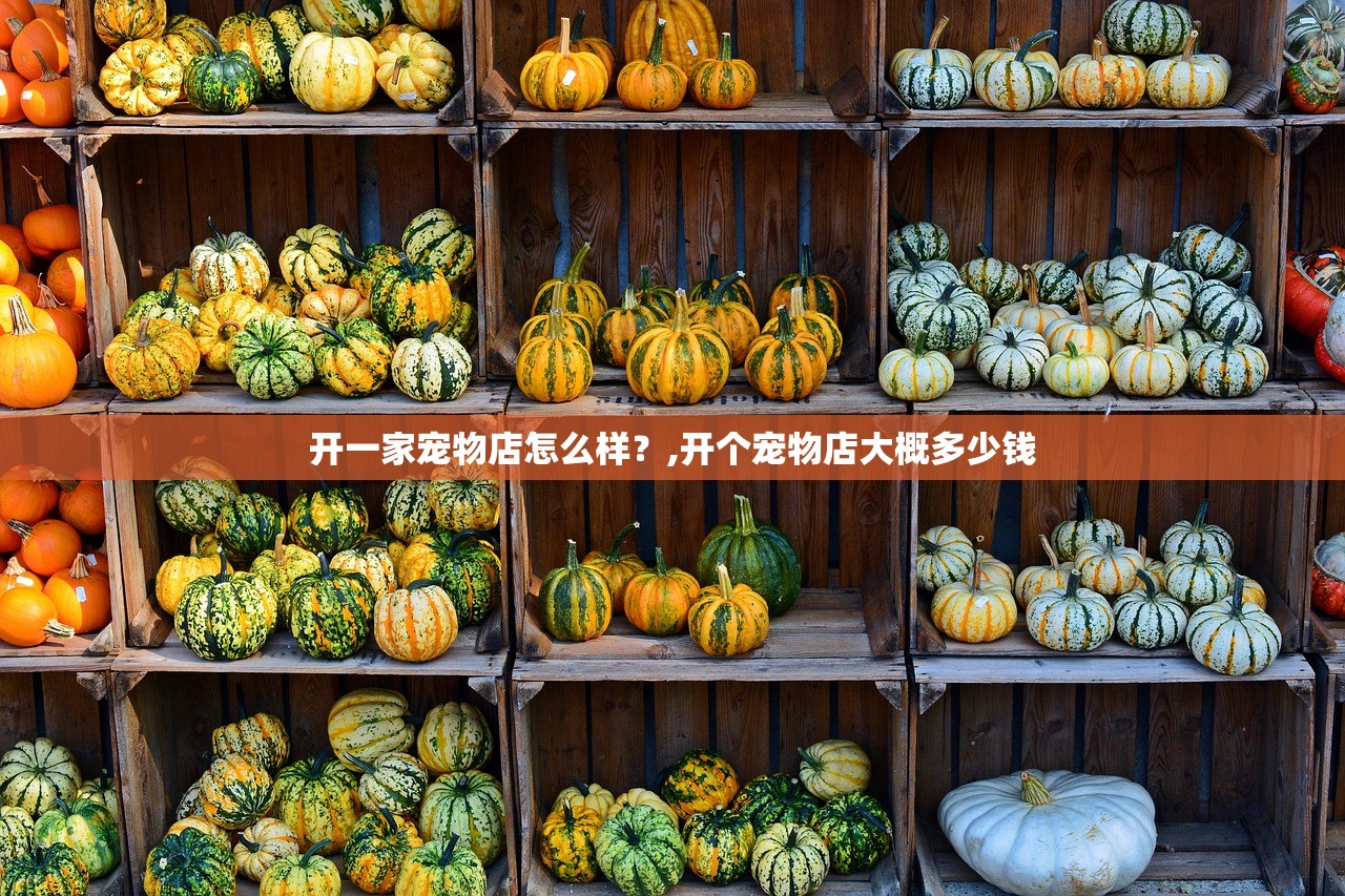 开一家宠物店怎么样？,开个宠物店大概多少钱