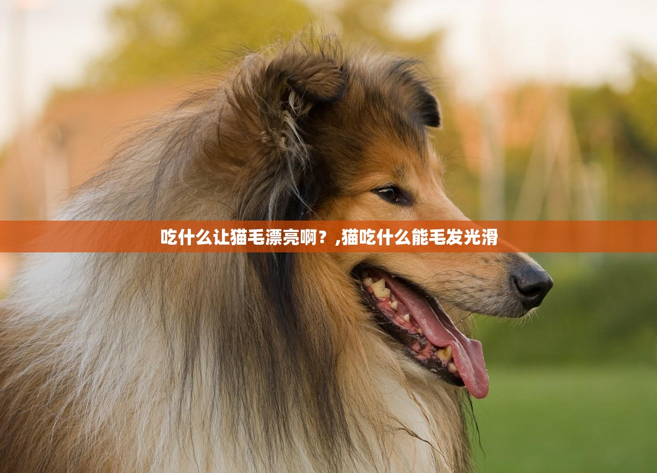 吃什么让猫毛漂亮啊?,猫吃什么能毛发光滑 吃什么让猫毛漂亮啊?,猫吃什么能毛发光滑