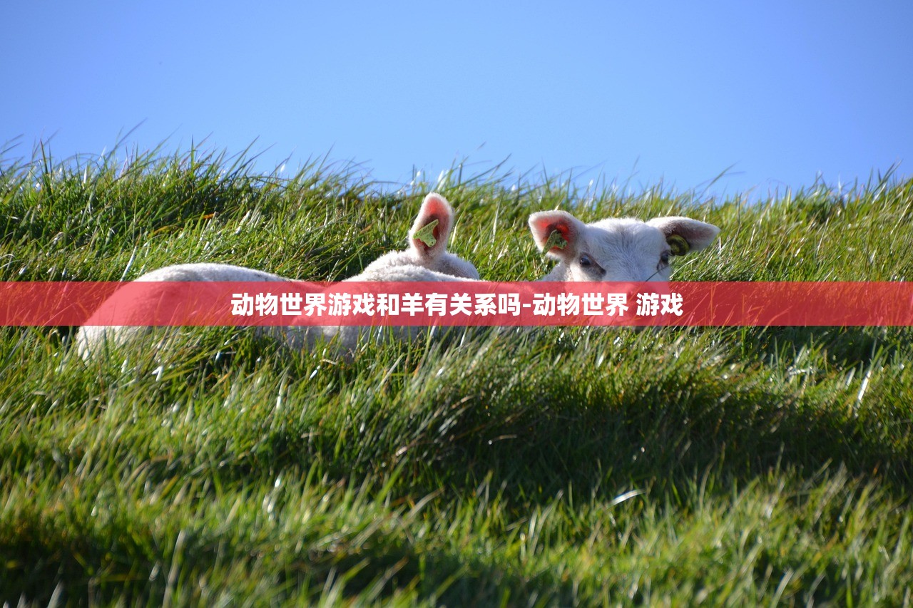 动物世界游戏和羊有关系吗-动物世界 游戏 动物世界游戏和羊有关系吗-动物世界 游戏