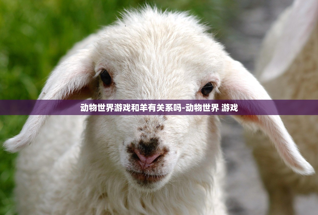 动物世界游戏和羊有关系吗-动物世界 游戏 动物世界游戏和羊有关系吗-动物世界 游戏