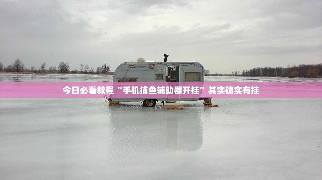 今日必看教程“手机捕鱼辅助器开挂”其实确实有挂