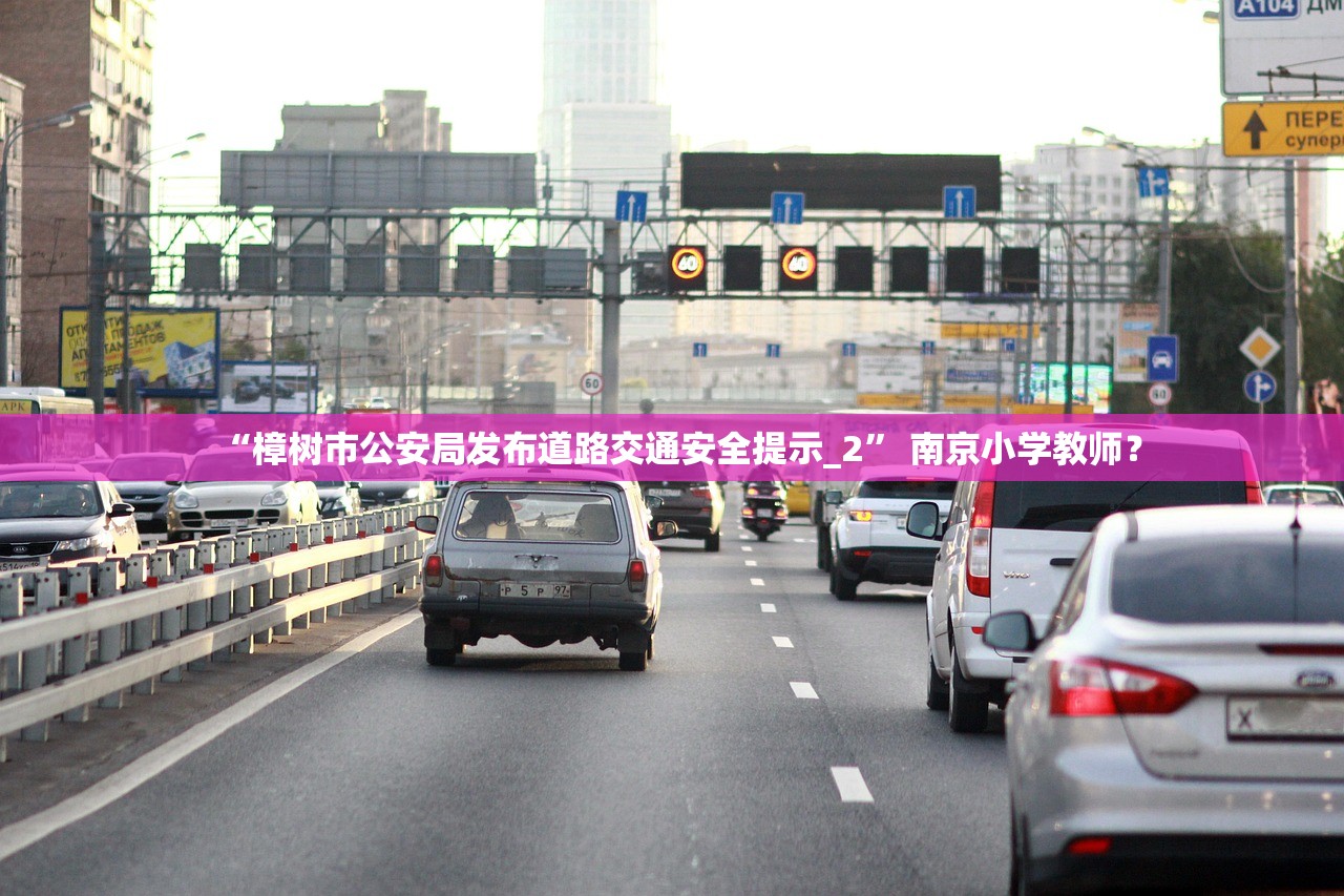 “樟树市公安局发布道路交通安全提示_2” 南京小学教师？