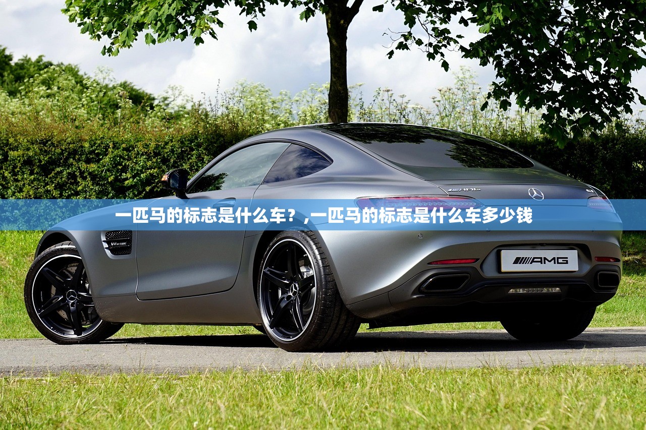 一匹马的标志是什么车？,一匹马的标志是什么车多少钱