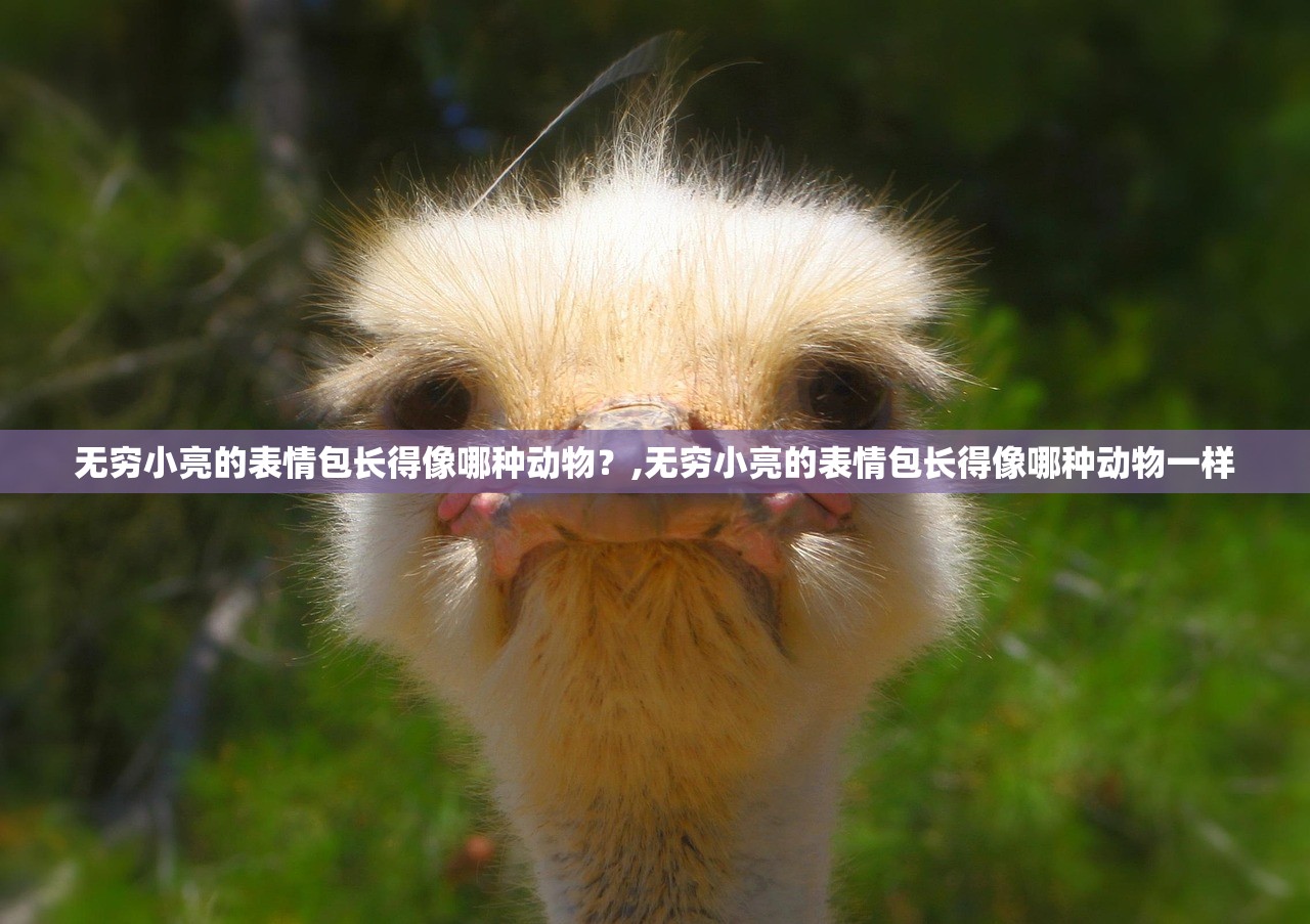 无穷小亮的表情包长得像哪种动物?,无穷小亮的表情包长得像哪种动物一样 无穷小亮的表情包长得像哪种动物?,无穷小亮的表情包长得像哪种动物一样