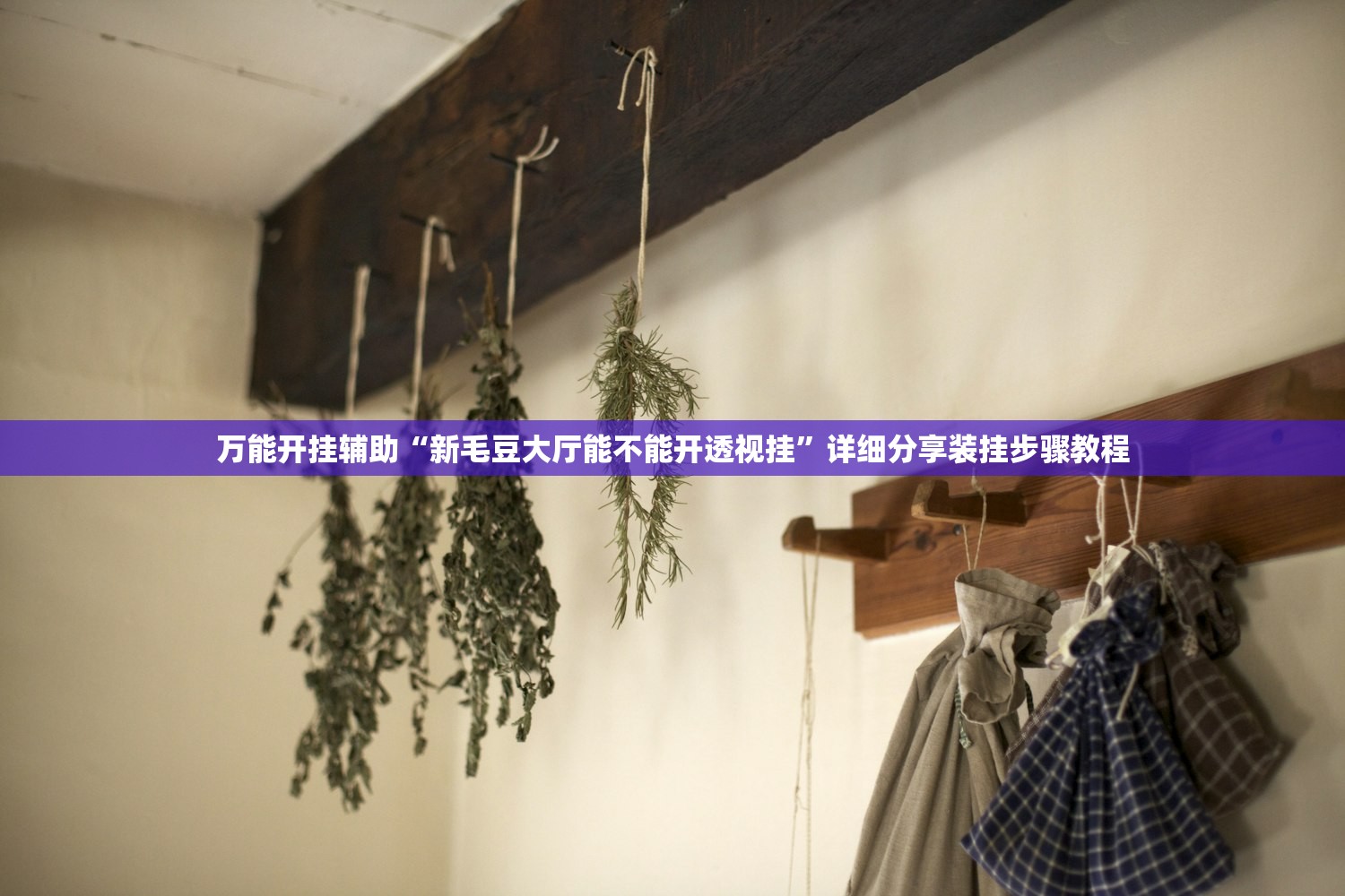 万能开挂辅助“新毛豆大厅能不能开透视挂”详细分享装挂步骤教程