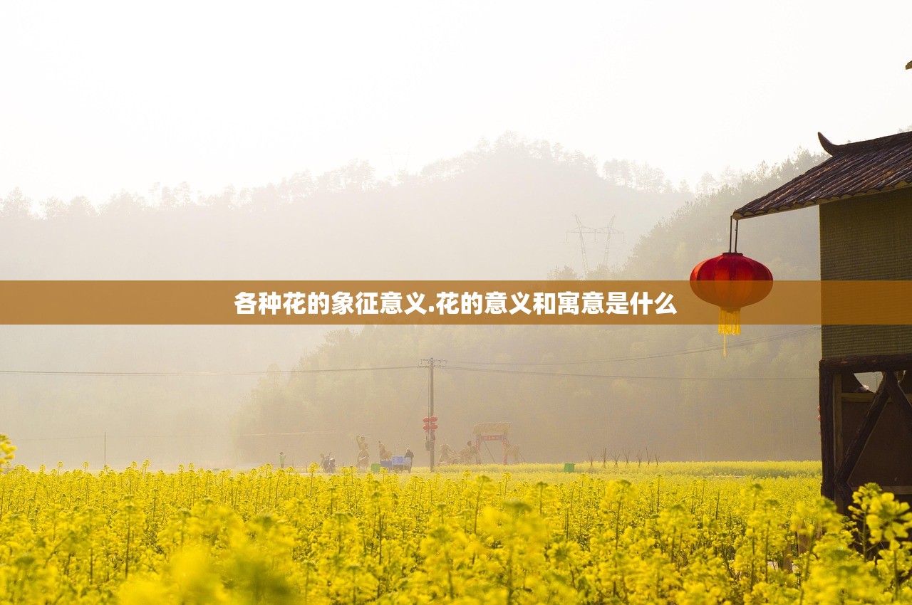 各种花的象征意义.花的意义和寓意是什么 各种花的象征意义.花的意义和寓意是什么