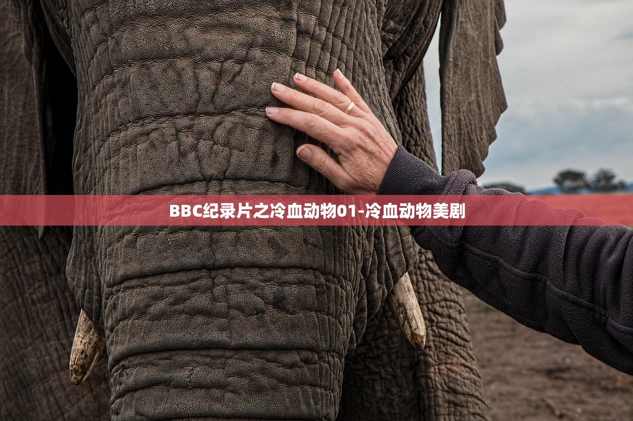 BBC纪录片之冷血动物01-冷血动物美剧 BBC纪录片之冷血动物01-冷血动物美剧