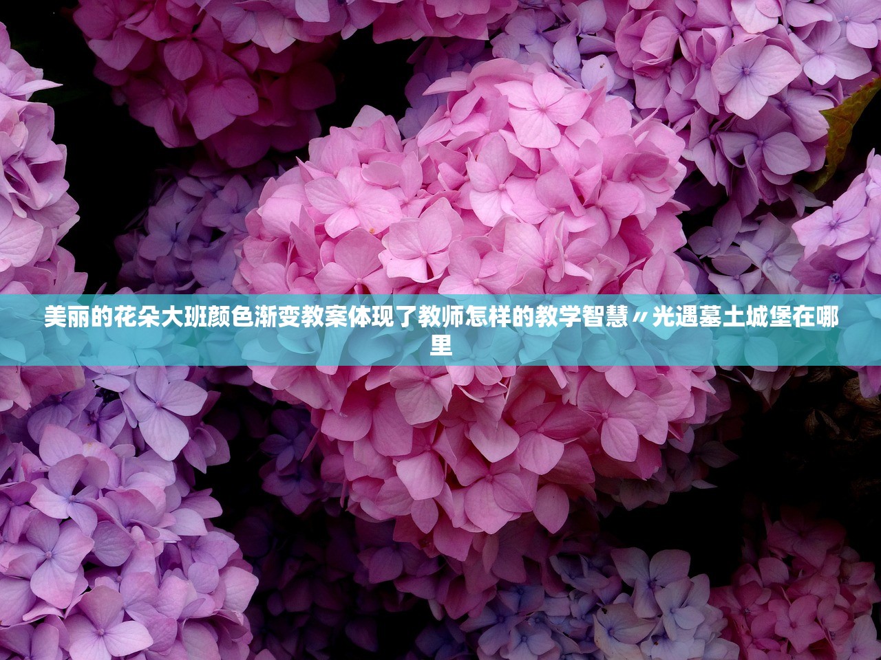 美丽的花朵大班颜色渐变教案体现了教师怎样的教学智慧〃光遇墓土城堡在哪里 美丽的花朵大班颜色渐变教案体现了教师怎样的教学智慧〃光遇墓土城堡在哪里