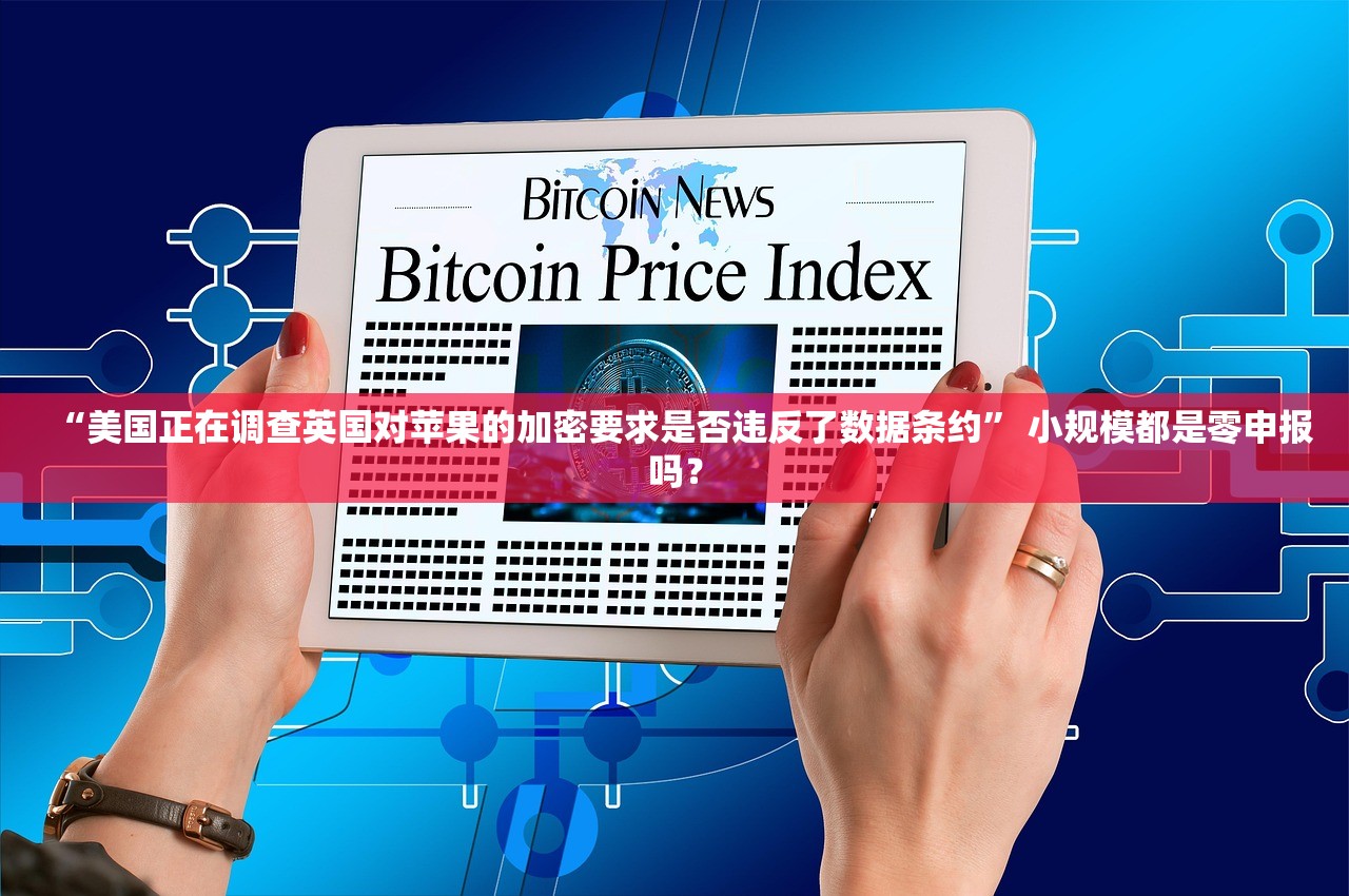 “美国正在调查英国对苹果的加密要求是否违反了数据条约” 小规模都是零申报吗？
