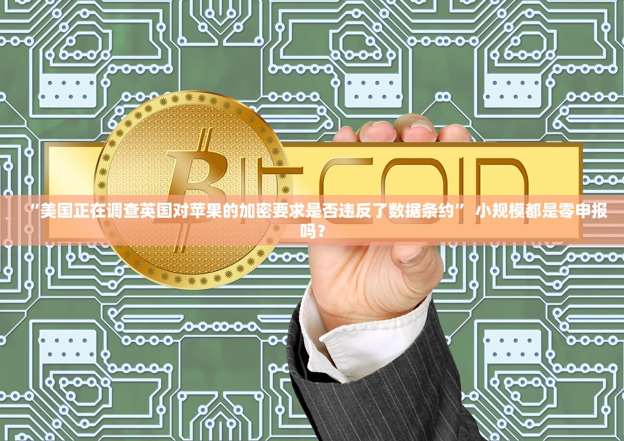 “美国正在调查英国对苹果的加密要求是否违反了数据条约” 小规模都是零申报吗？