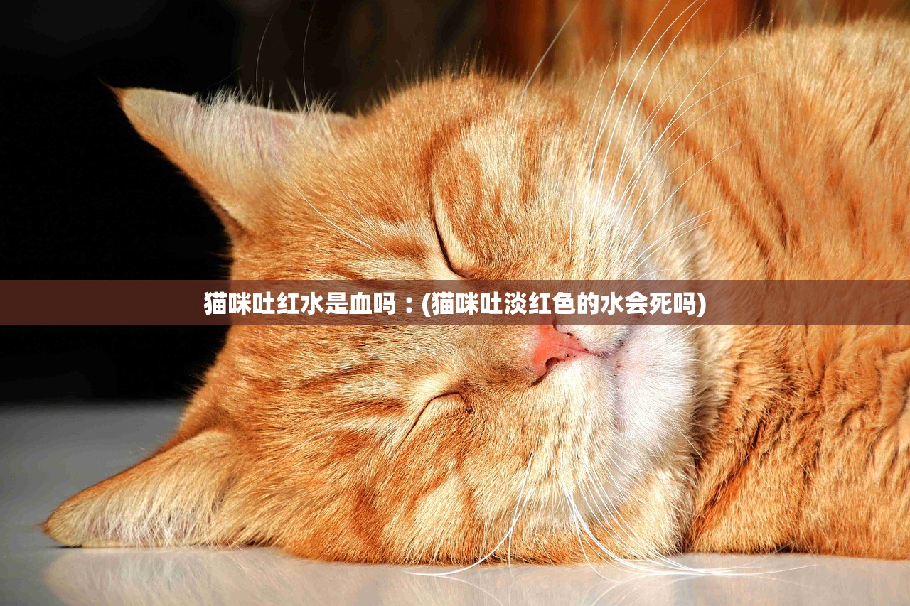 猫咪吐红水是血吗︰(猫咪吐淡红色的水会死吗) 猫咪吐红水是血吗︰(猫咪吐淡红色的水会死吗)